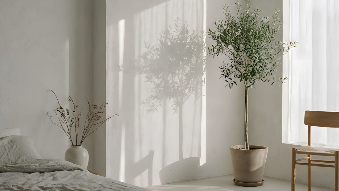 3-Day Quiet Reset— A softer way to return to yourself —